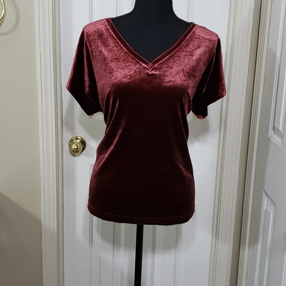 Sanctuary V-neck Scarlet Short Sleeve Blouse